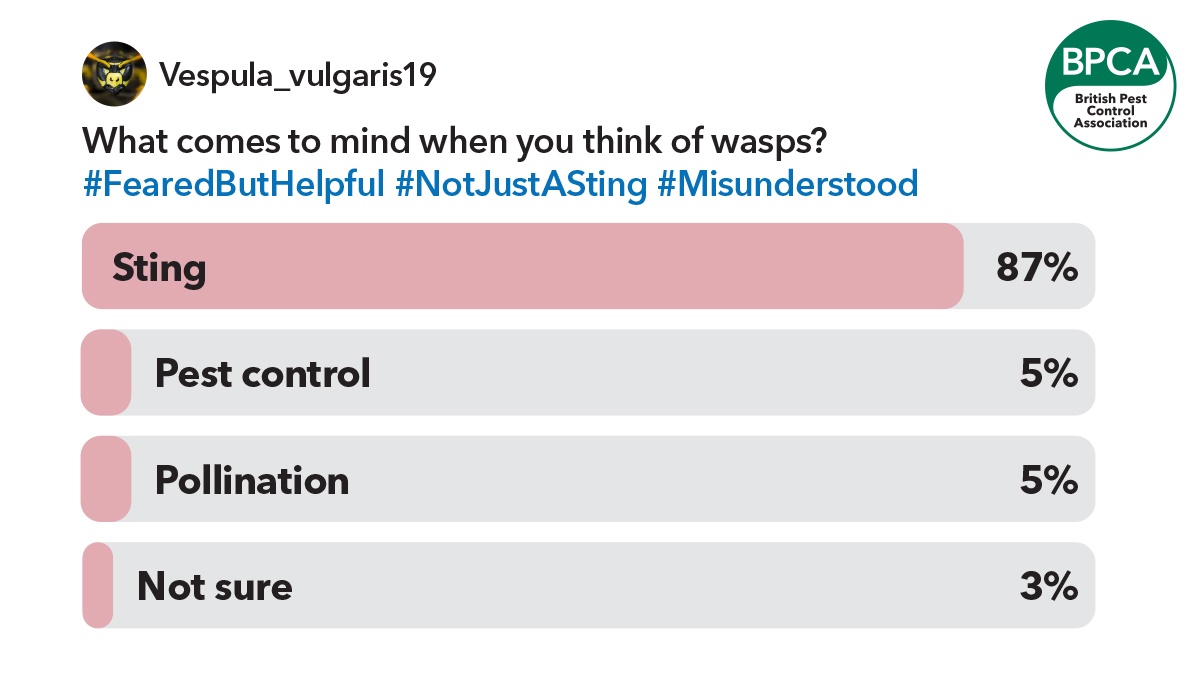 Wasp positive c3 Wasp positive c3